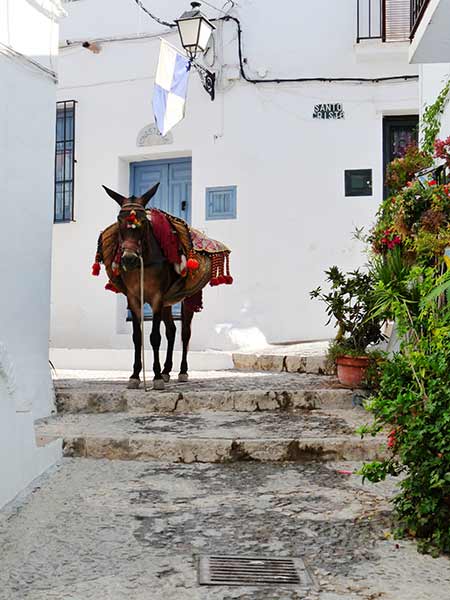Frigiliana