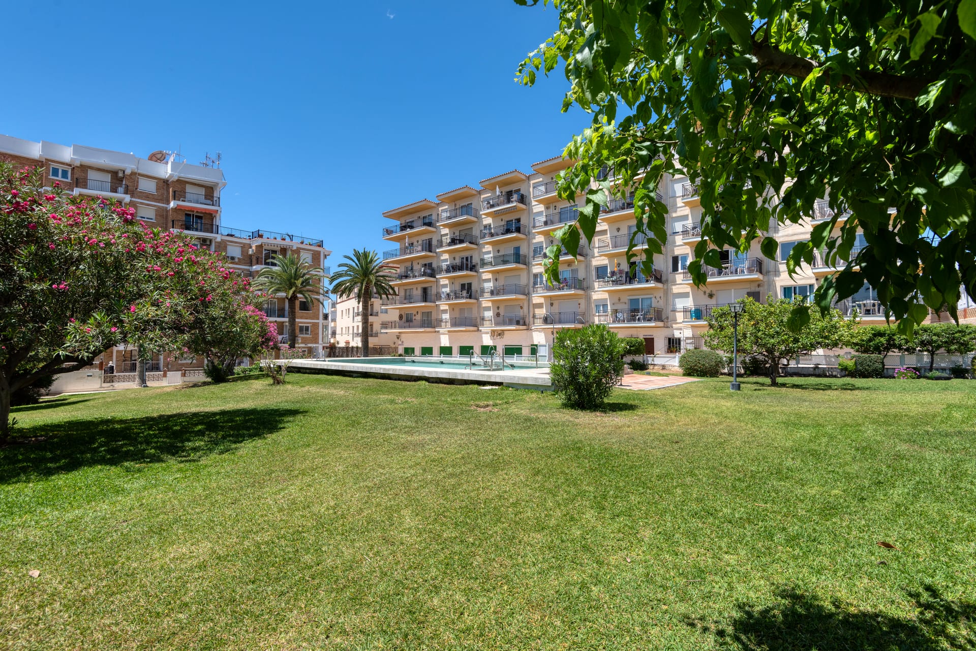 Edificio Acapulco communal gardens